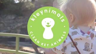 Kleynimals Products in action with Lyra