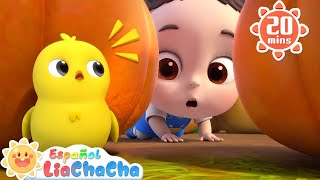 Busquemos Pollitos con ChaCha | Canción de Granja | LiaChaCha en Español - Canciones Infantiles