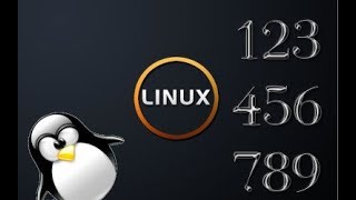03 Sorting Numbers in Linux BASH