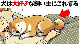 【犬が大好きな飼い主にだけしかしない行動】 犬の雑学