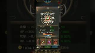 【魔剣伝説】ペット、乗騎霊宝強化忘れてました！