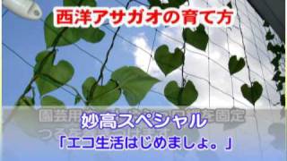 妙高ニュース（平成21年5月14 日～5月20日放送分）その2