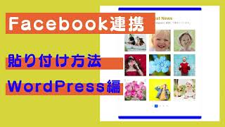 Facebook連携(埋め込み)を貼り付ける方法(WordPress編)