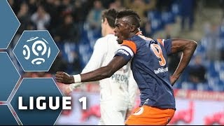 Montpellier Hérault SC - OGC Nice (3-1) - 25/01/14 - (MHSC-OGCN) -Résumé