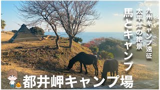 九州キャンプ遠征！野生の馬と共存するキャンプ場　都井岬キャンプ場