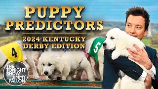 Puppies Predict the Winner of the 2024 Kentucky Derby | The Tonight Show Starrin