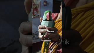 @krishik6549 #viralvideo#viralটিয়া পাখির অদ্ভুত কথা #এমনটিয়াপাখি আগে কোনদিন দেখেননি।