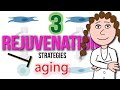 3 Rejuvenation Strategies For Aging.