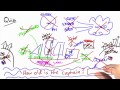 The Tao of Simplifying Solution - Software Debugging