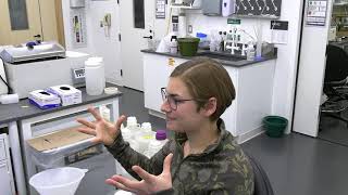 Viruses, Algae, and Bacteria! Oh My!