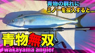 【爆釣】青物の群れにミノーを投げ込むと即座に強烈な当たりが!! 2馬力ボートで青物釣査!