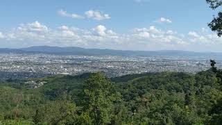 桂坂野鳥遊園 東ベンチ