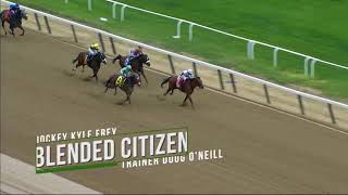 2018 Belmont Stakes Contenders - Blended Citizen