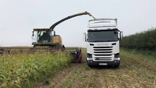 New Holland SPFH FR920 forager with a CNH 30ft Draper in Maize