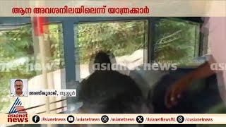 നടുറോഡിൽ നിലയുറപ്പിച്ച് മുറിവാലൻ പിടിയാന; ആന അവശനിലയിലെന്ന് യാത്രക്കാർ