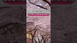 🌸 2024 전국 벚꽃 축제 일정 총정리 🌸