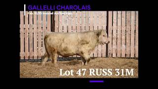 Lot 47 RUSS 31M