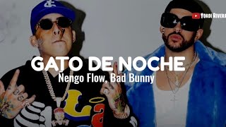Ñengo Flow, Bad Bunny - Gato De Noche (LETRA)