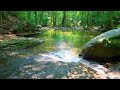 Lone Soldier (Lyrics)
