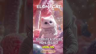 Explore a Friendly and Fun Crypto Journey with ElonXCat 🪐 || ELONXMUSK \u0026 SPACEX MEME COIN ||