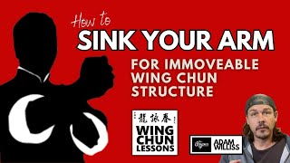How to Sink Your Arm for Immoveable Wing Chun Structure - Like a Brick Wall!