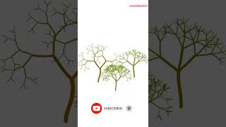 Forest drawing using python with turtle🐢 | YouTube | python | #shorts