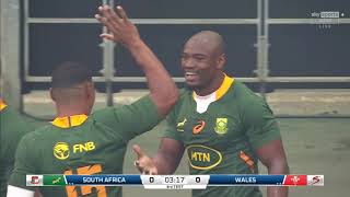 Rugby Test Match South Africa vs Wales Test match 3 July 2022