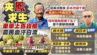 【中天辣晚報精華版】20210228 數據會說話…新南向好棒棒?「百倍差距」秒戳謊