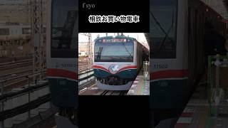 レトロ顔　おかいもの電車ラッピング車両　相鉄11000系 #相鉄11000系　#shorts