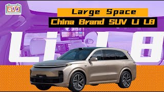 Large Space - China Brand SUV Li L8 真实奶爸告诉你 理想L8空间到底怎么样