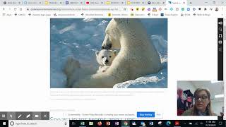 Snap & Read: How to Use the Screen Shot Reader Tool.