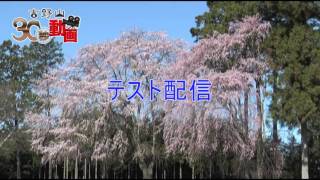 吉野山30秒動画