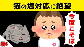 【2話】どうしても猫と遊びたい娘がアピールしまくった結果＆2，3才男の子がママにおねだりした結果が面白すぎるｗｗｗ【ほのぼの】