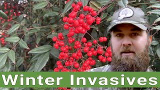 Identifying Winter Invasives