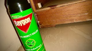 Baygon MULTI-INSECT KILLER (Fail Test Result) | #bedbugs | #homemade #video