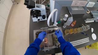 The PAS Staining protocol