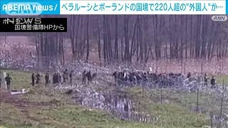 ベラルーシ→ポーランドに不法入国しようと　220人超の“外国人” 国境警備隊に抵抗も(2024年4月11日)