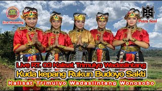 🔴LIVE SORE KUDA KEPANG RUKUN BUDOYO SAKTI DI SANGGAR KALISAT