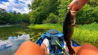 First catch on the SEASTREAM Angler 120 fishing kayak.