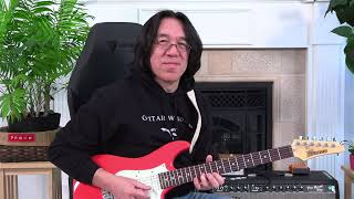 Double Stops & Turnarounds - Tomo Fujita Guitar Wisdom Foundation Blues