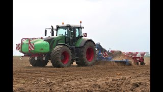 Maislegen 2022/ Fendt 939 Vario/ 8- reihig Maislegen