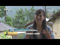 《经济半小时》浙江松阳：江南秘境留乡愁 20190827 cctv财经