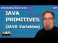 Java Primitives : Learn about Java primitive data types