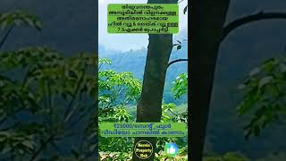 Land for sale in Trivandrum, Amboori_7.5acer land with rubber_Beautiful hill\u0026Lake view.₹25000/cent.