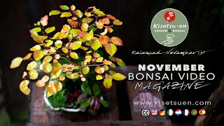 November tutorials at Kisetsu-en Shohin \u0026 Bonsai