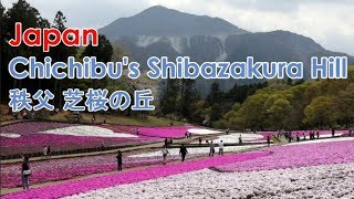 Chichibu's Shibazakura Festival 2019 秩父芝桜の丘散策 - a virtual sightseeing tour