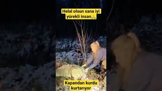 Kurt Kapanından Bu Cesur Kadın Kurdu Kurtarıyor #wolf