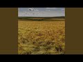 Strings in the Wind