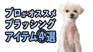 長毛犬種と短毛犬種のブラッシングで使う動画を紹介！使い方を間違えると痛いので要注意！【スリッカーブラシ・コーム・ラバーブラシ・獣毛ブラシ】