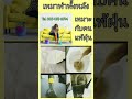 cleaning serviceม่าน โซฟา พรม ที่นอนใช้อุปกรณ์แบบใหม่ cleaningservice ภูมิแพ้